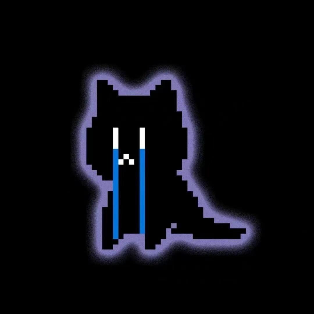 游荡的小猫