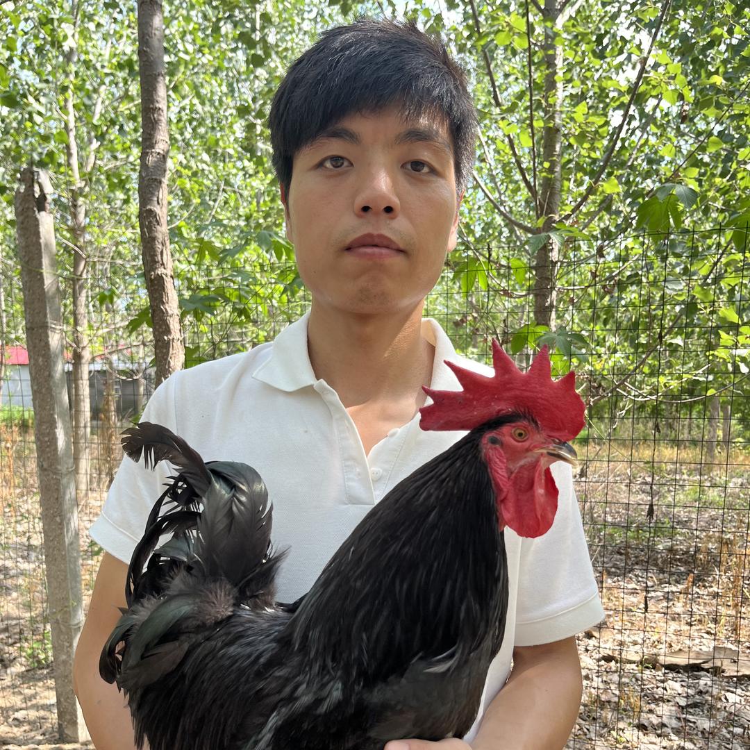 农村特产优选