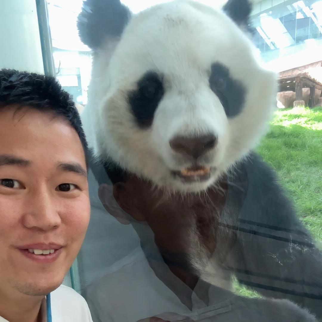 小浩看熊猫啦