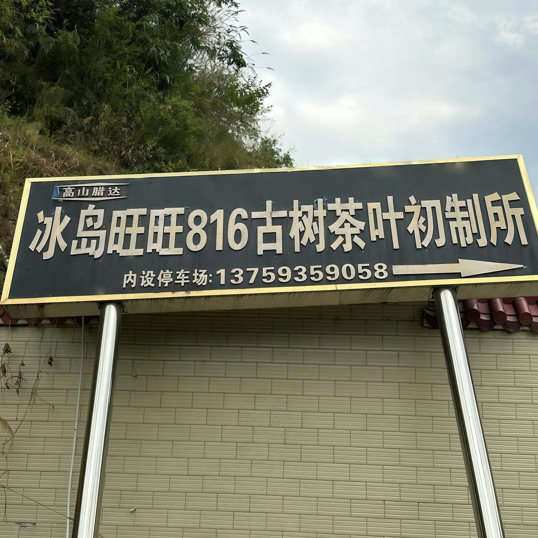 冰岛旺旺816茶叶【源头茶农】