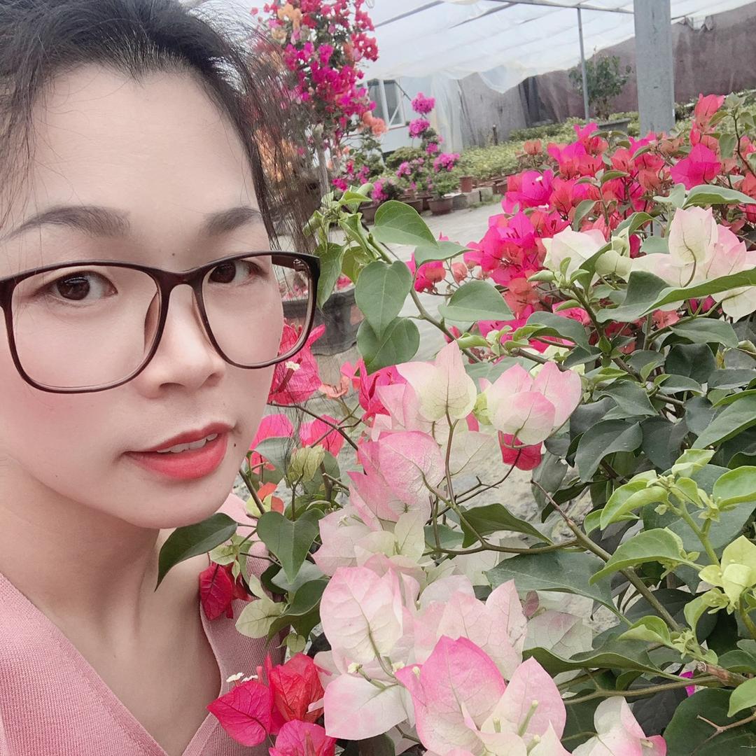 琴琴园艺