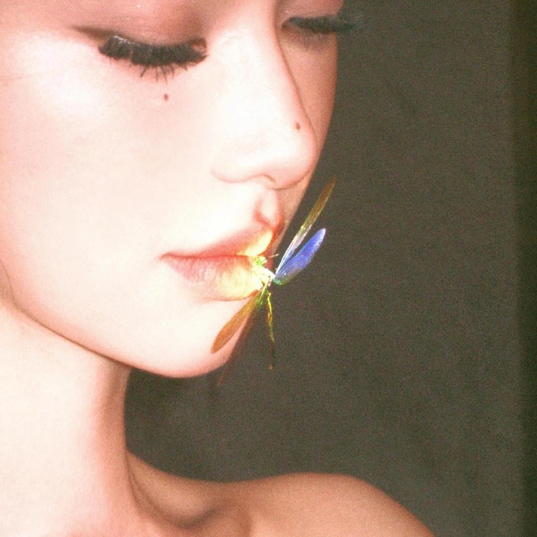 森林-