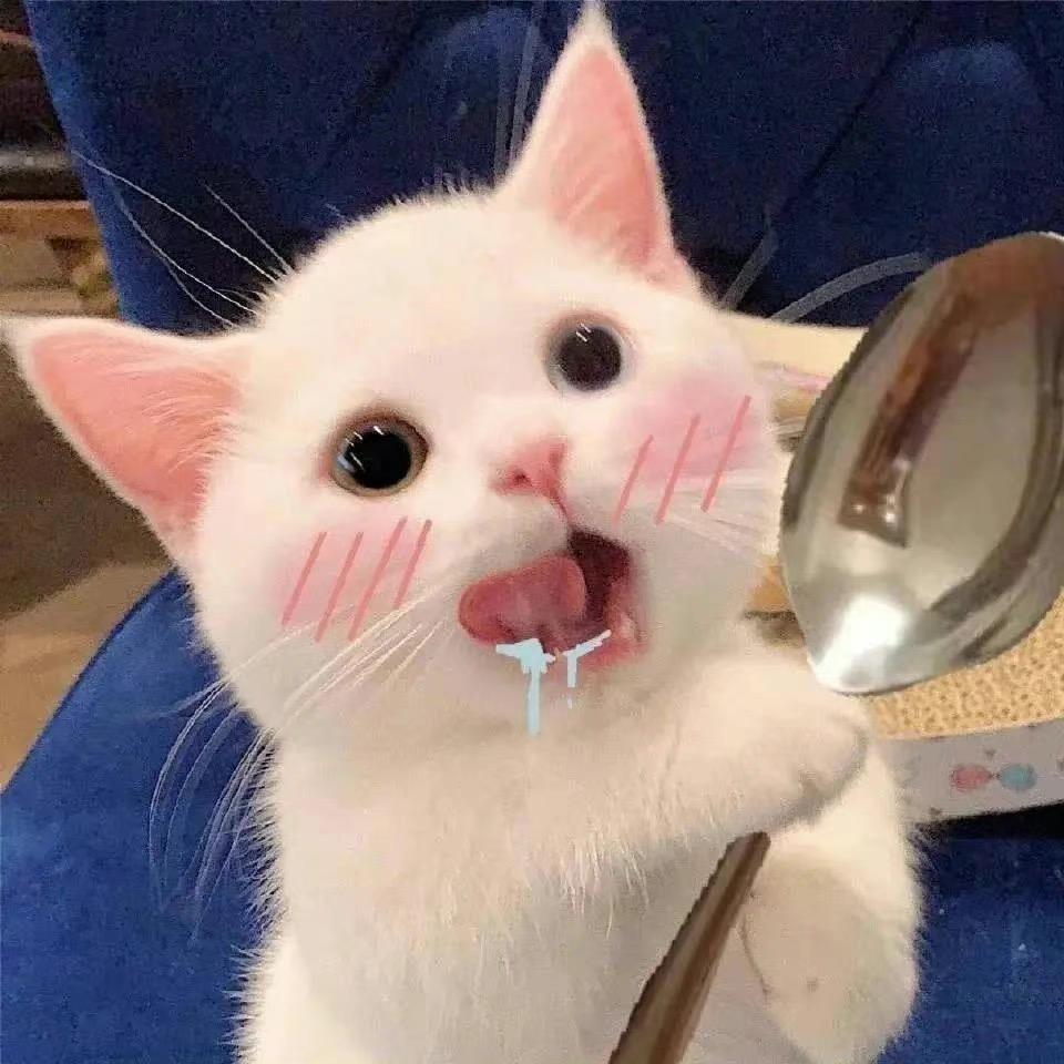 小馋猫