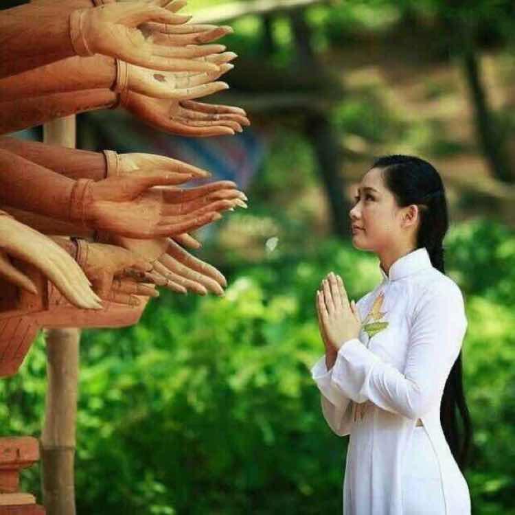 金鼠🌾