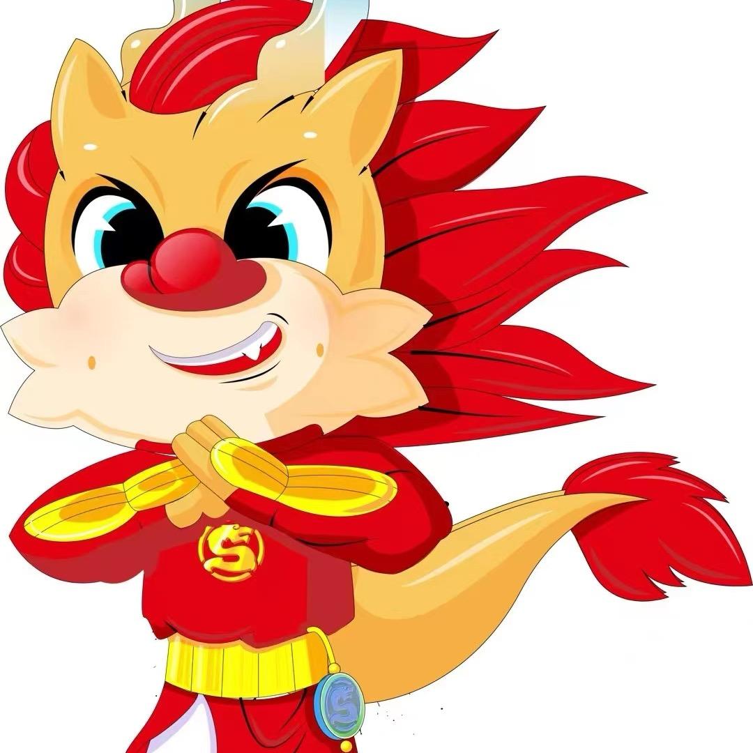 圣龙武术陶教练圣龙武术