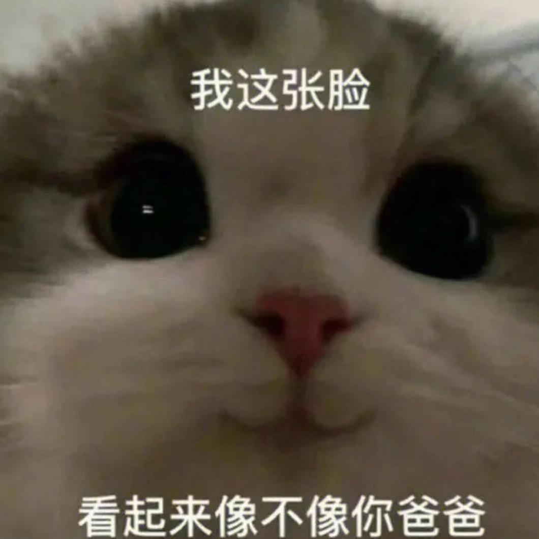 🌈龟龟头像