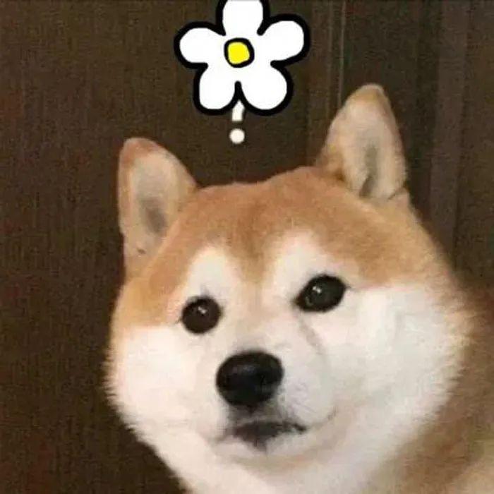 腌黄瓜