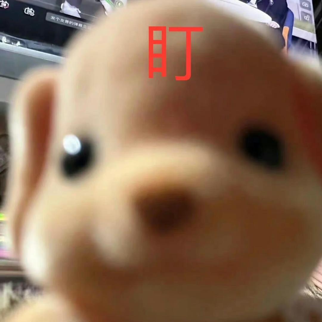 小鱼美式
