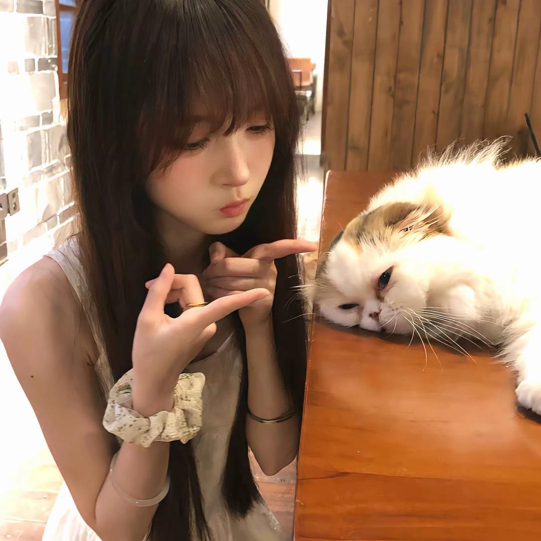 下雨带剑不带伞头像