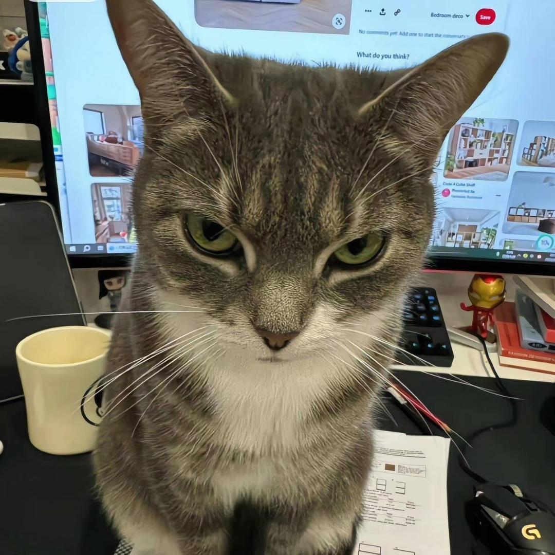 陈小春（无畏契约）