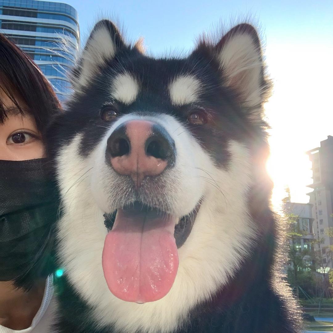 胖虎你在干什么