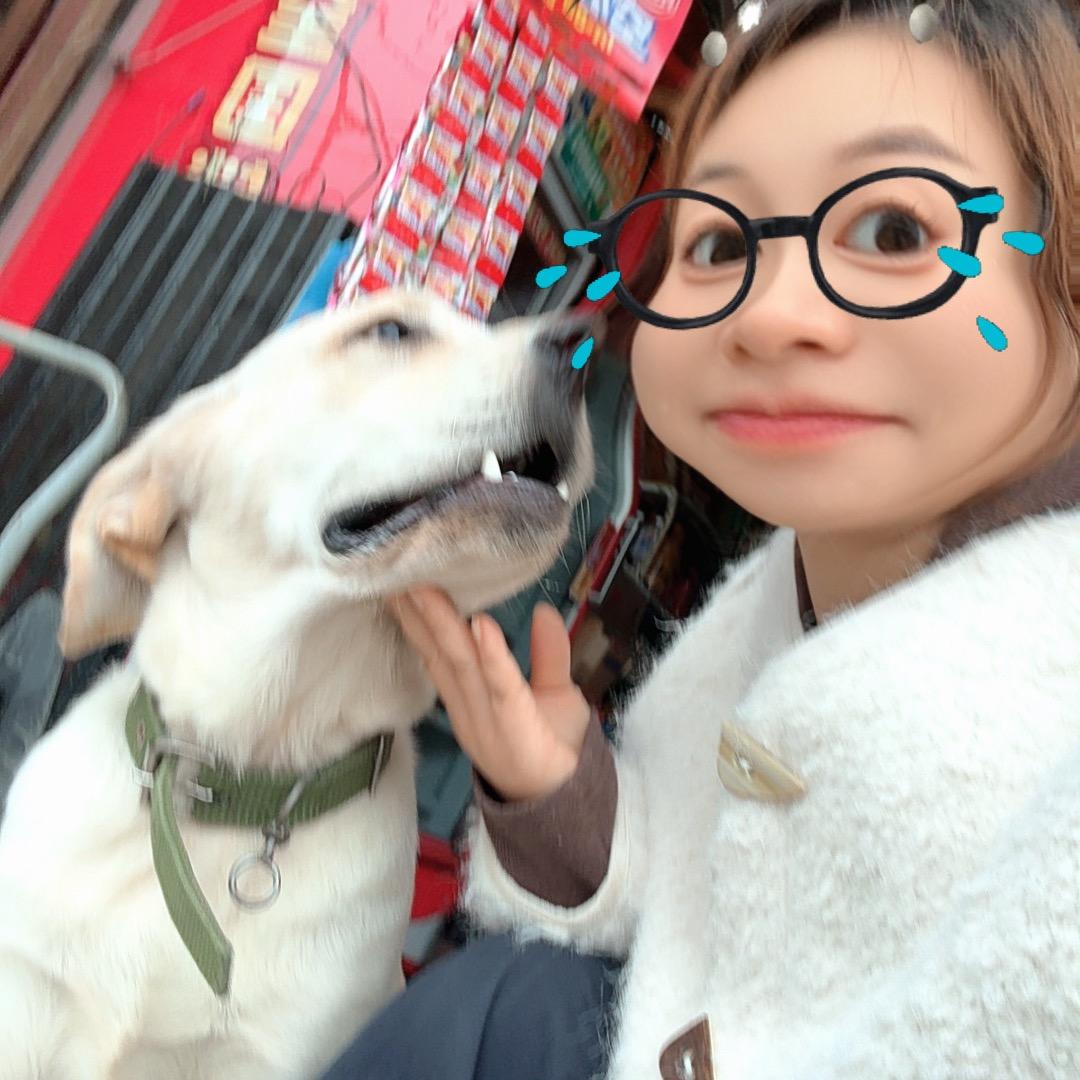 呆小羊🐑