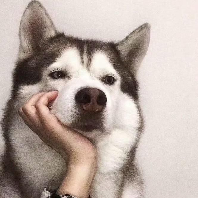 💐是子萍呐💕