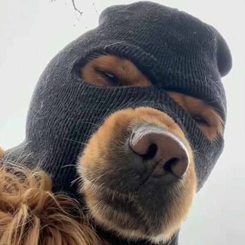 ⌓‿⌓拿捏⌓‿⌓