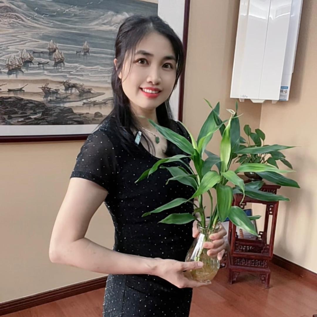 青青花卉绿植