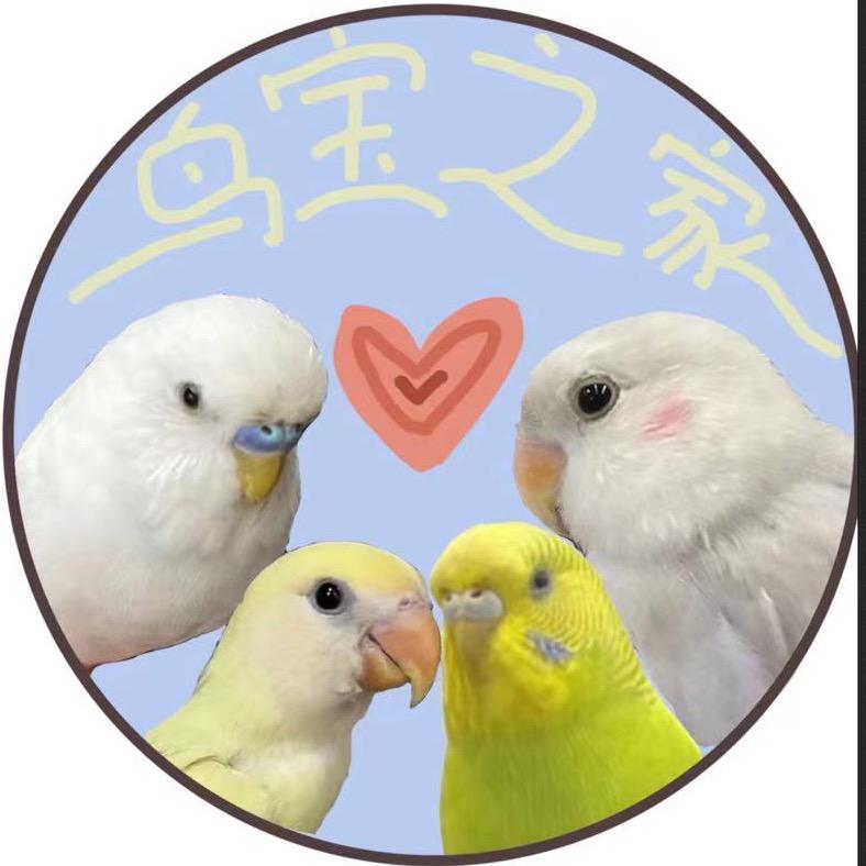 鸟宝之家