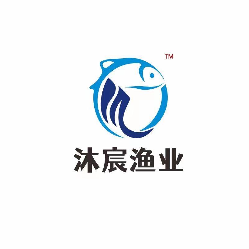 微纳米气泡高级氧化系统王校长（大王）