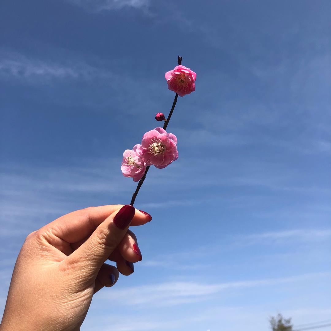 是你呀