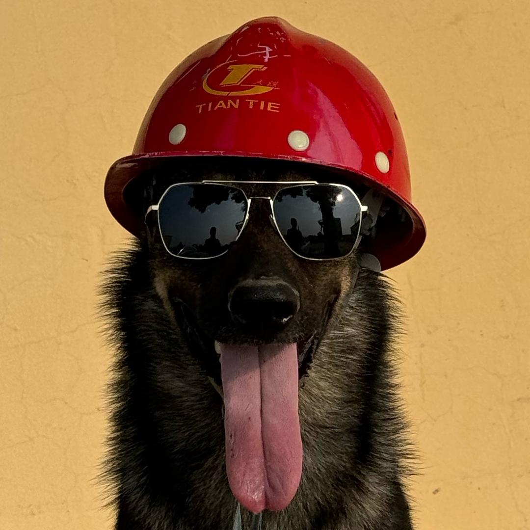乐乐犬舍