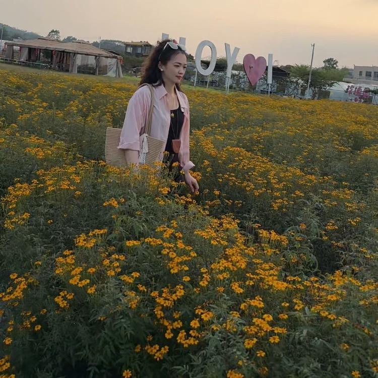 慧美
