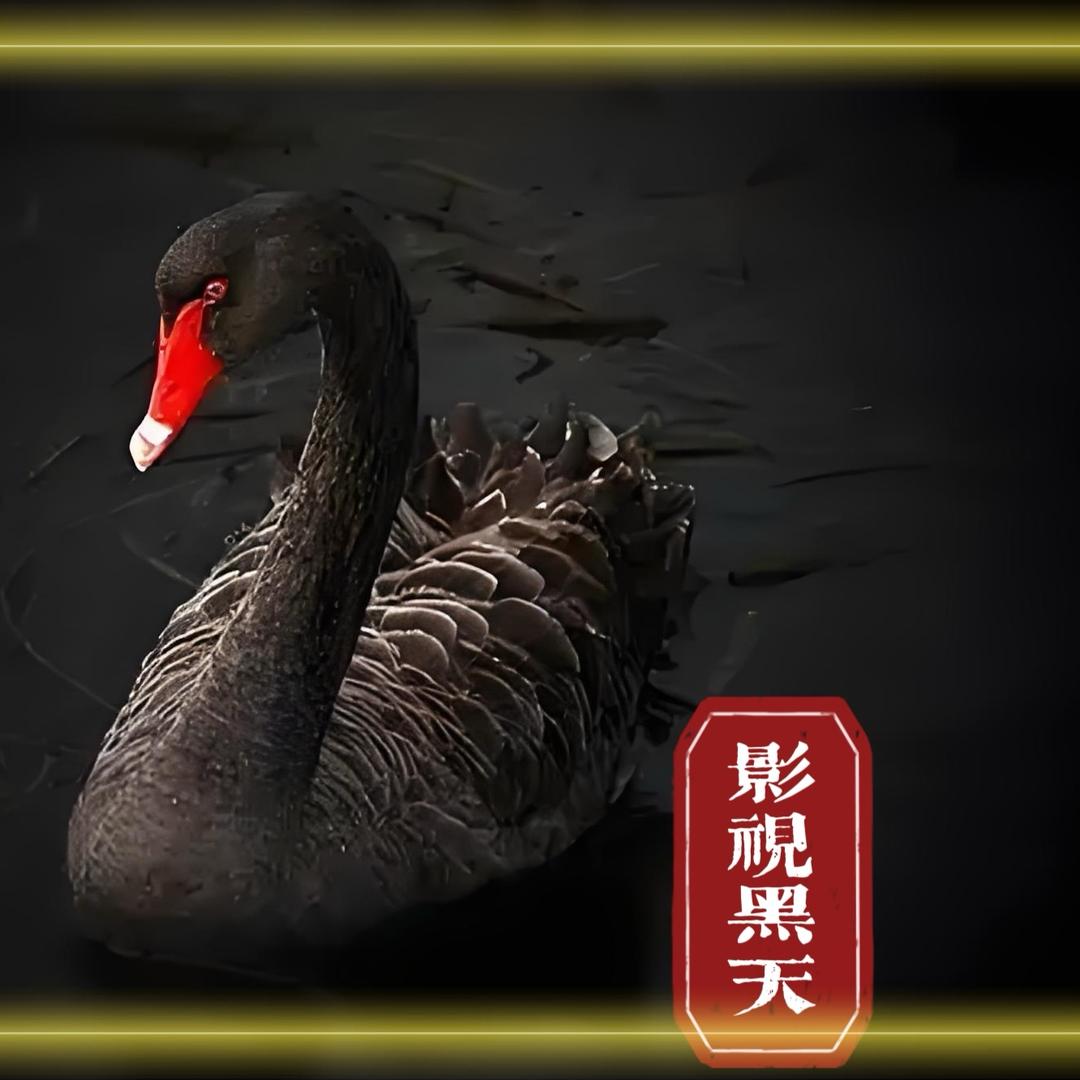 影视黑天鹅🦎大黑鹅🚢