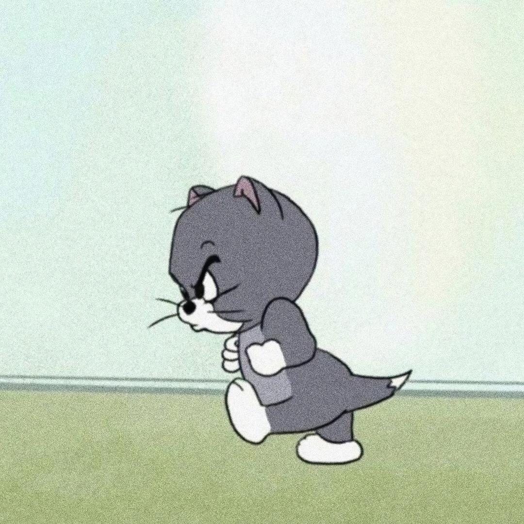好像不太聪明