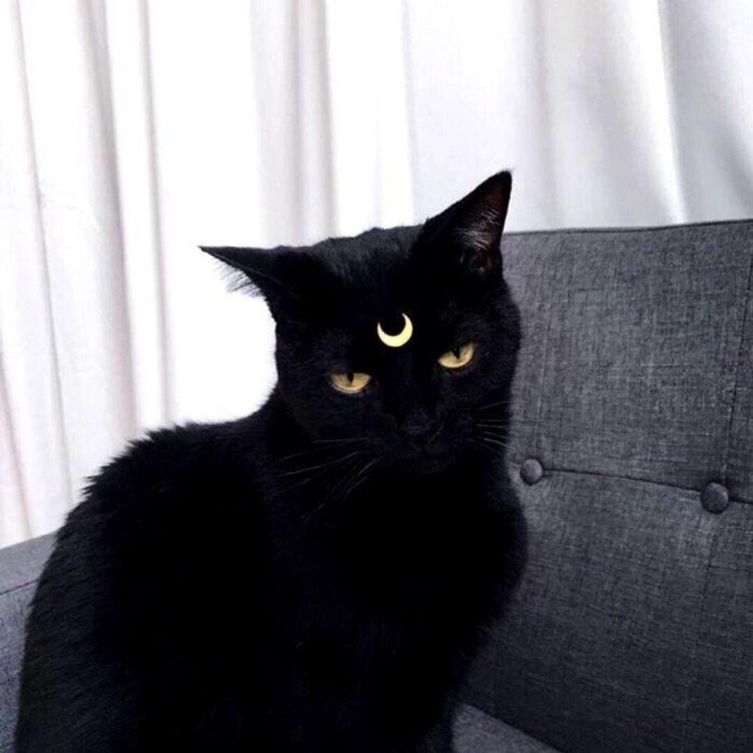黎木