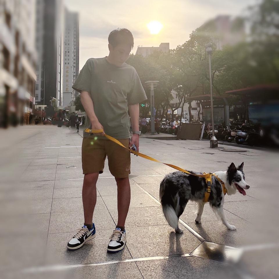肉爺、家有陨石边牧Snkrs