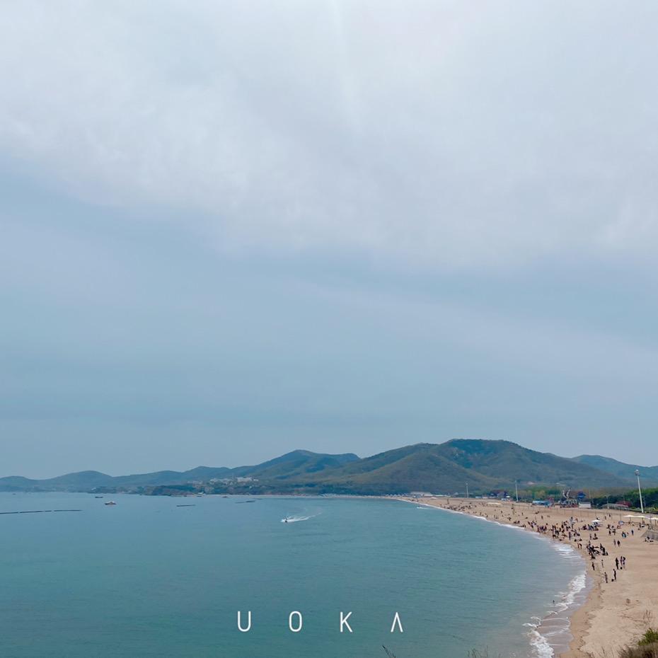 懒球和她优秀的朋友们