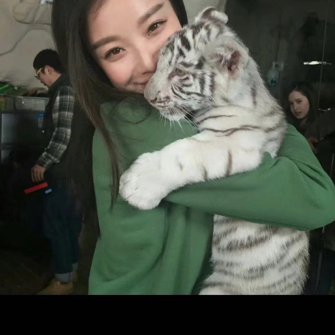 小猫下次见.