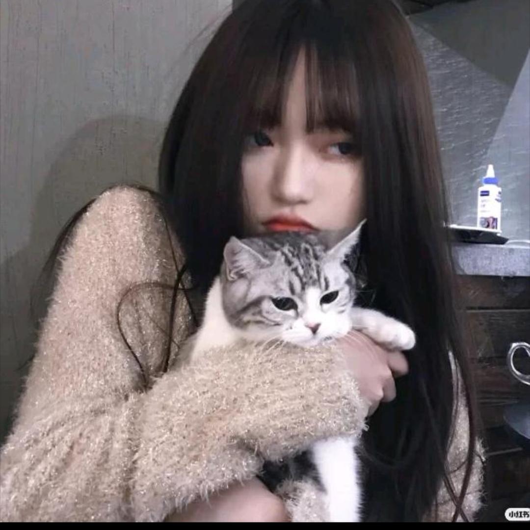 鱿鱼服装分享11