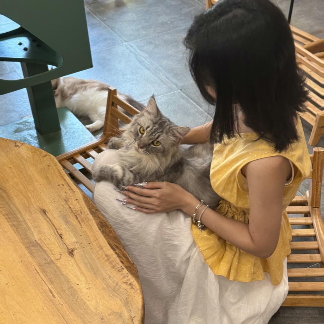璐璐lulu