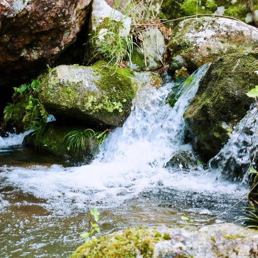 用户5011967451646女王