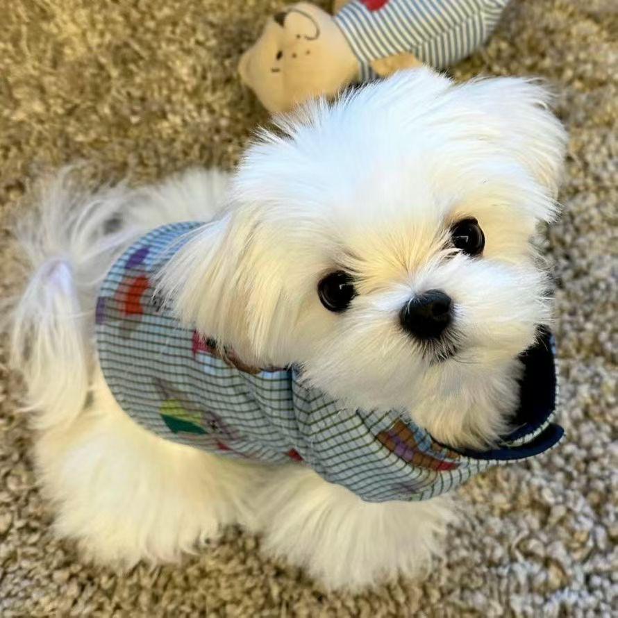 我立刻要发脾气了