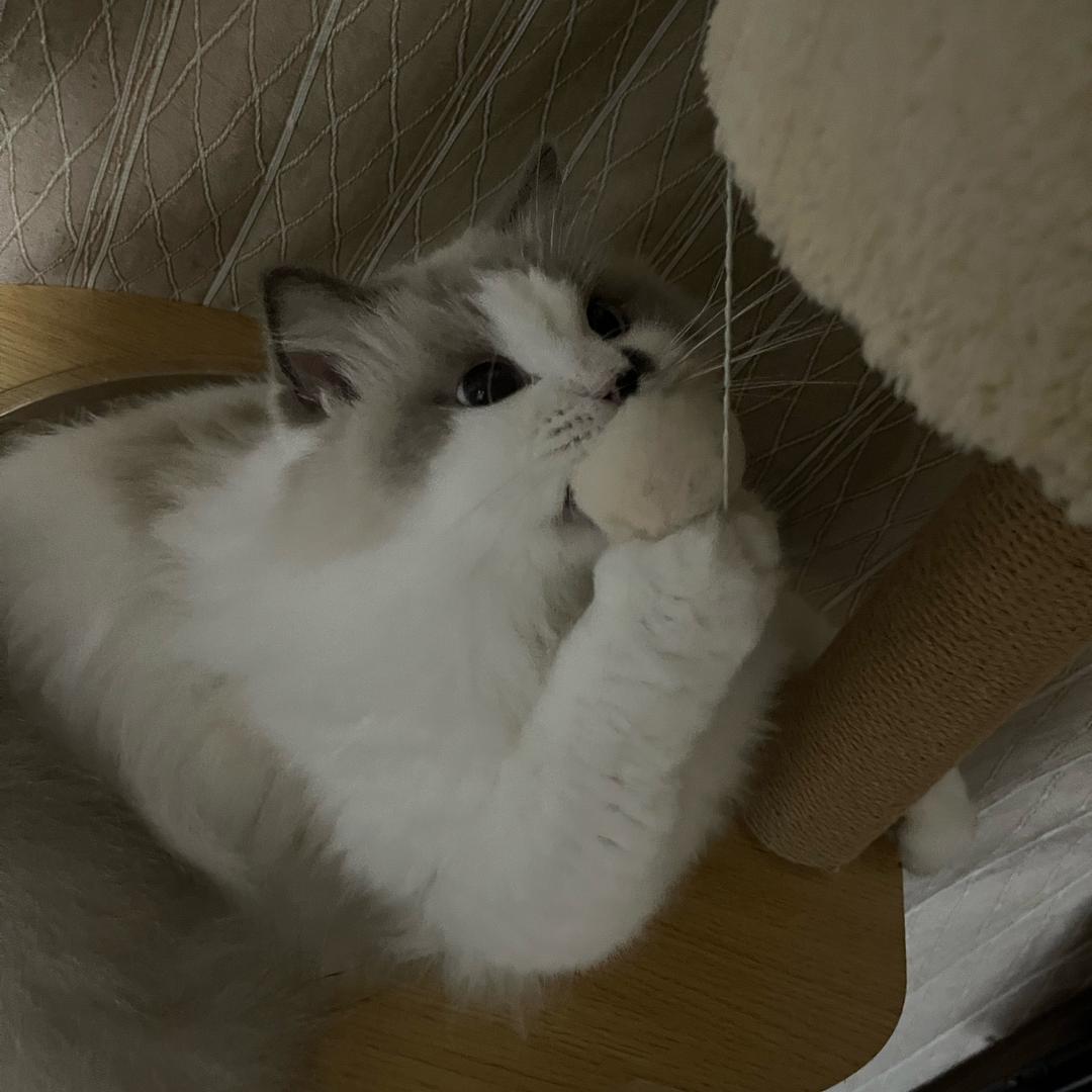 地狱白馒头