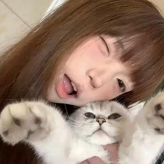 别动我的齐刘海