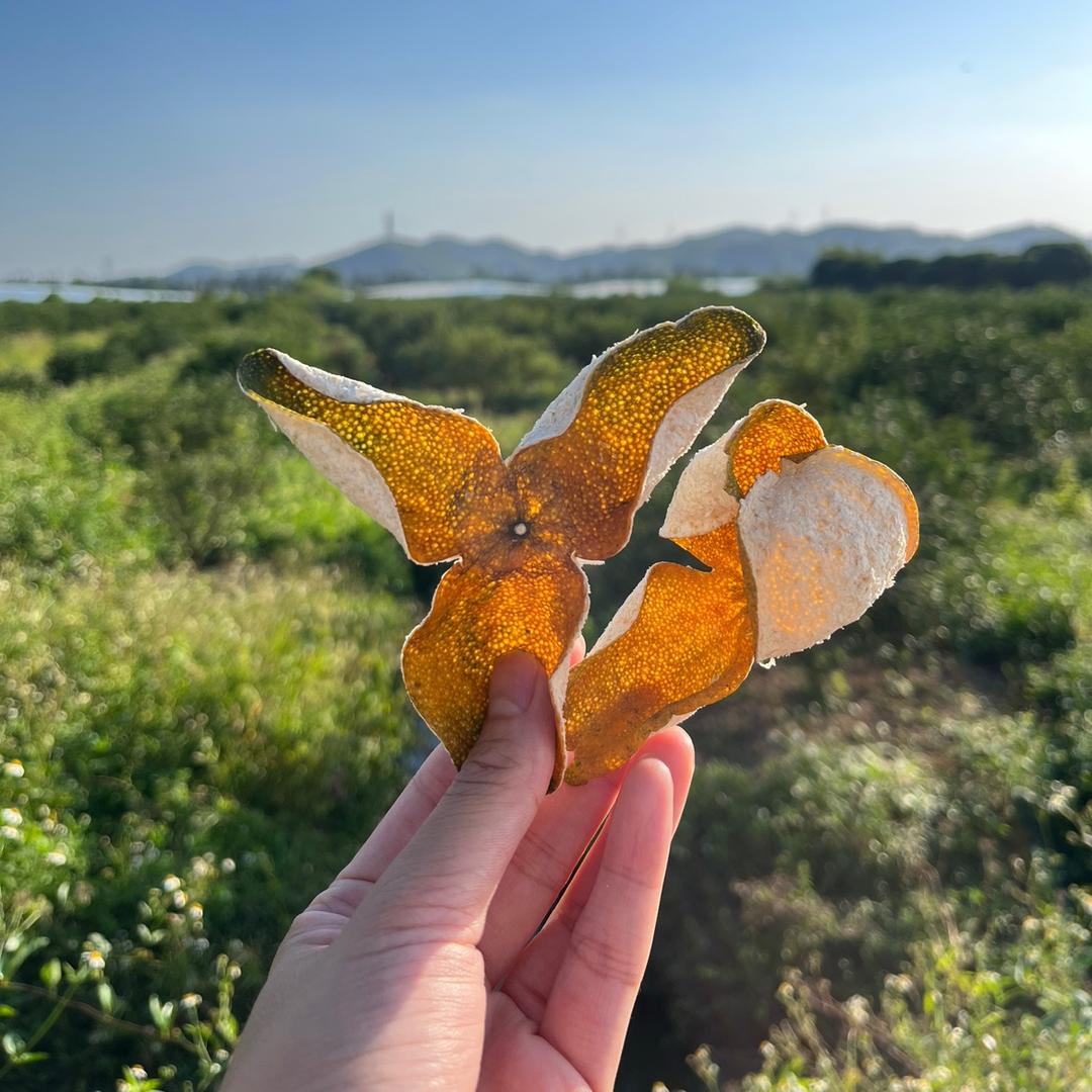 唐茗柑