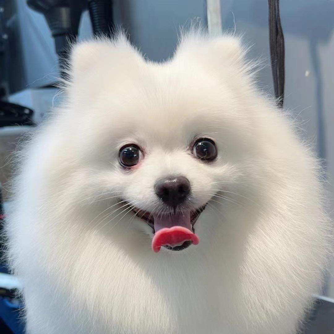 ོ顾白染 ͙٭