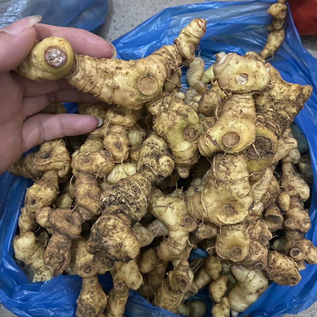 采药人