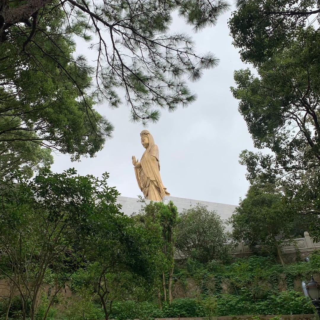 未来人生