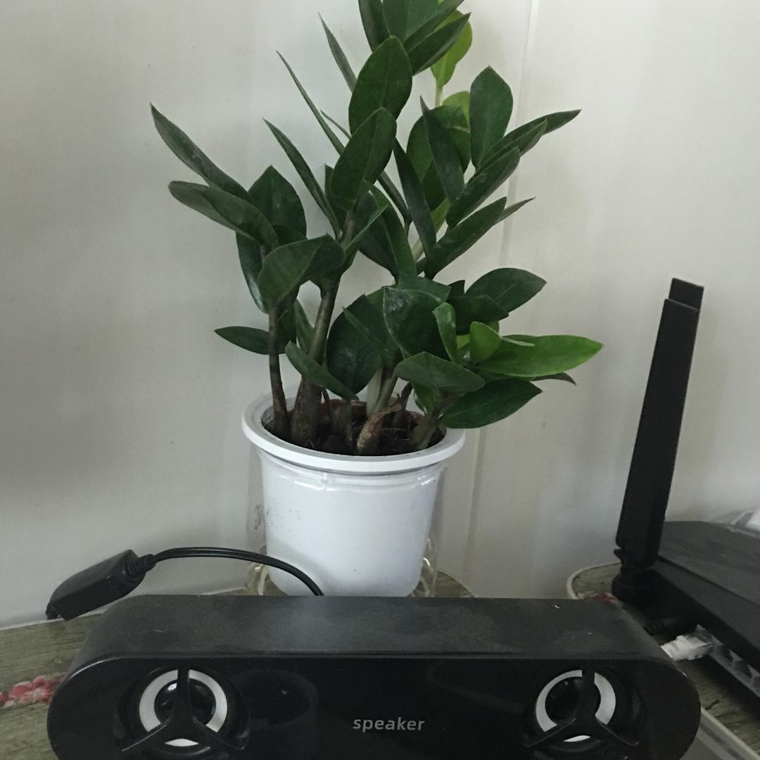 包河润森百货传承倪