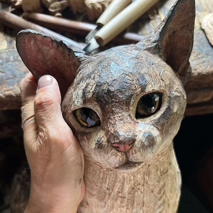 子禾
