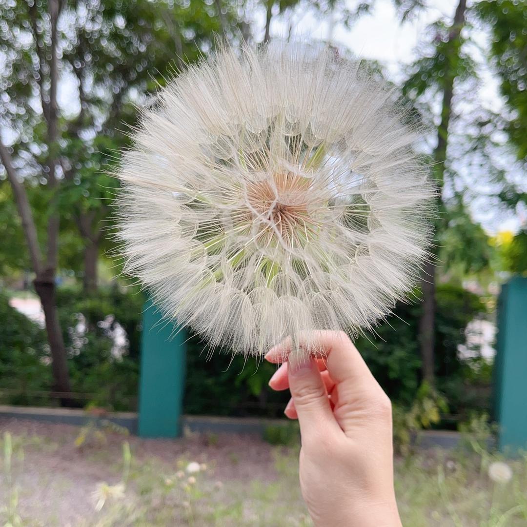 天黑请闭眼