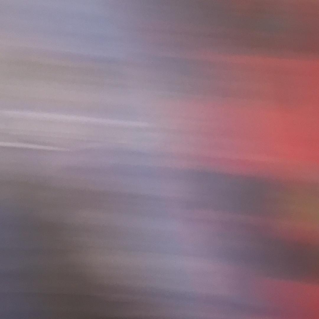 蔡书殊