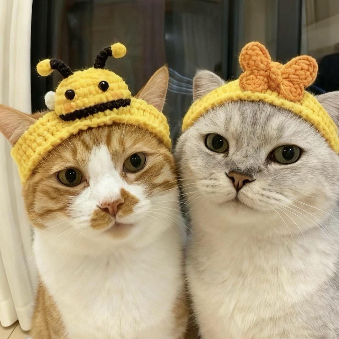 饭饭不爱搭理梦梦