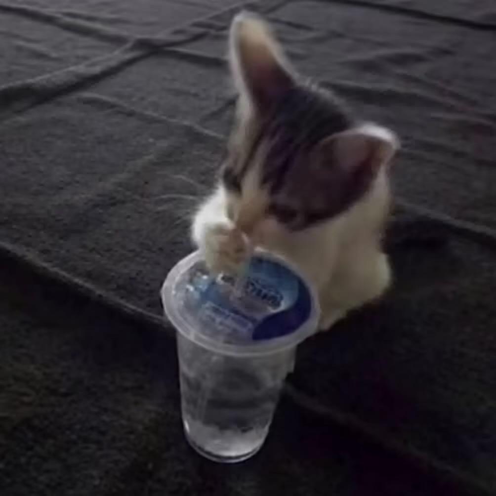耳边