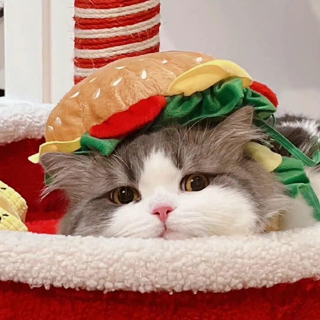 麦恩莉ouo/•᷅•᷄\୭