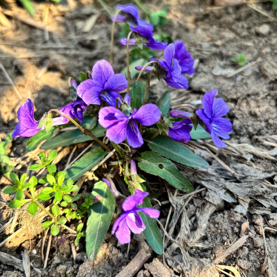 平舆助听器🦻梦