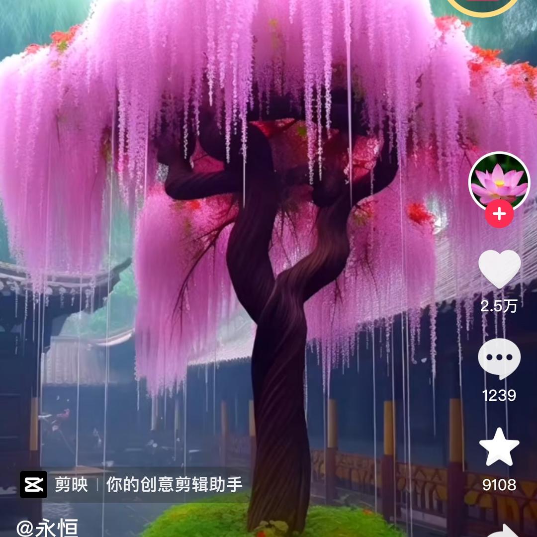愿吾安康