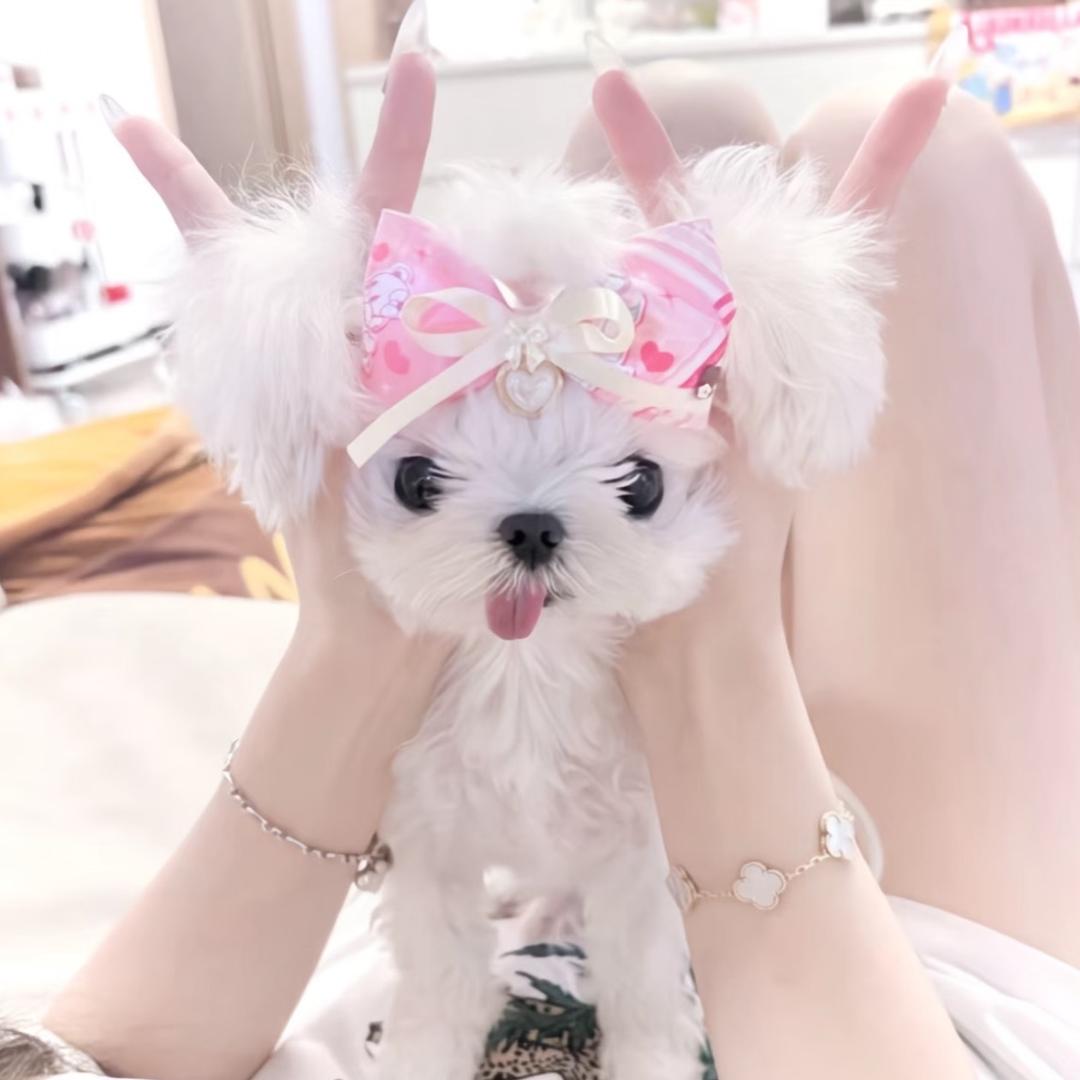 馨馨子